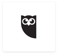 Hootsuite Logo